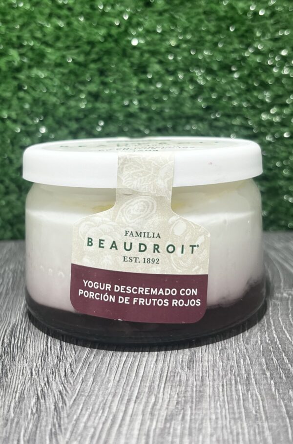 Yogur Descremado Familia Beaudroit