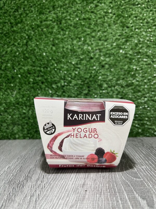 Yogur Helado Frutos del Bosque Karinat x 120 g