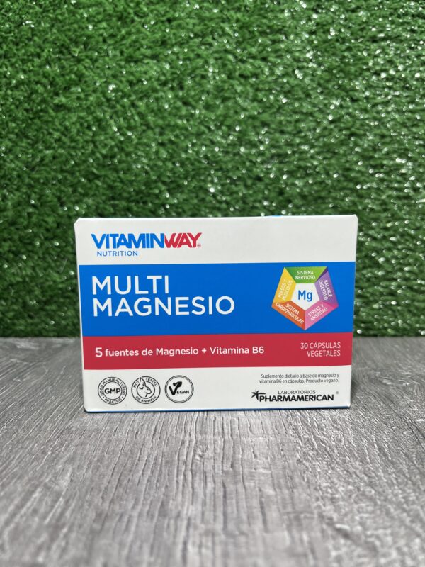 Multi Magnesio Vitamin Way