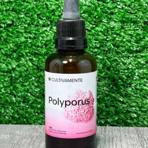 Polyporus Cultivamente