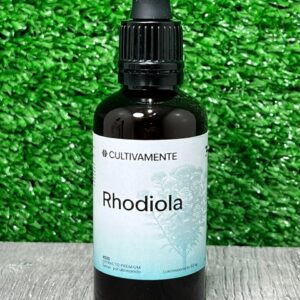 Rhodiola Cultivamente
