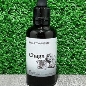 Chaga Cultivamente